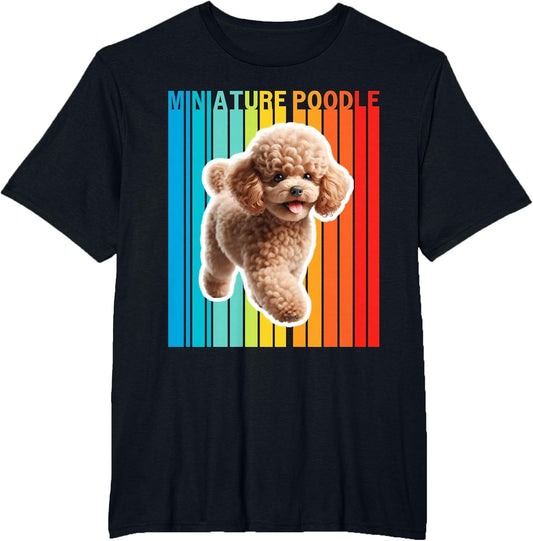 Colorful Miniature Poodle