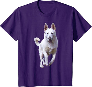 BHymer: White German Shepherd T