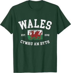 Wales Flag Cymru Am Byth Welsh Dragon Banner Welshman
