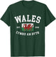 Wales Flag Cymru Am Byth Welsh Dragon Banner Welshman