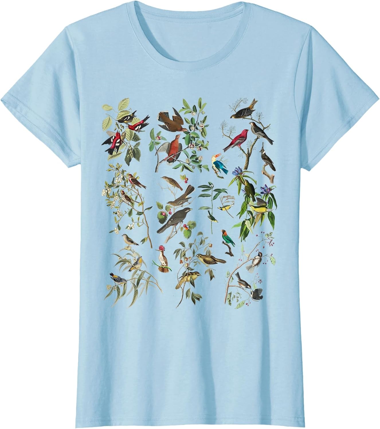 Bird Illustration Nature Birding Botanical Vintage Bird Art