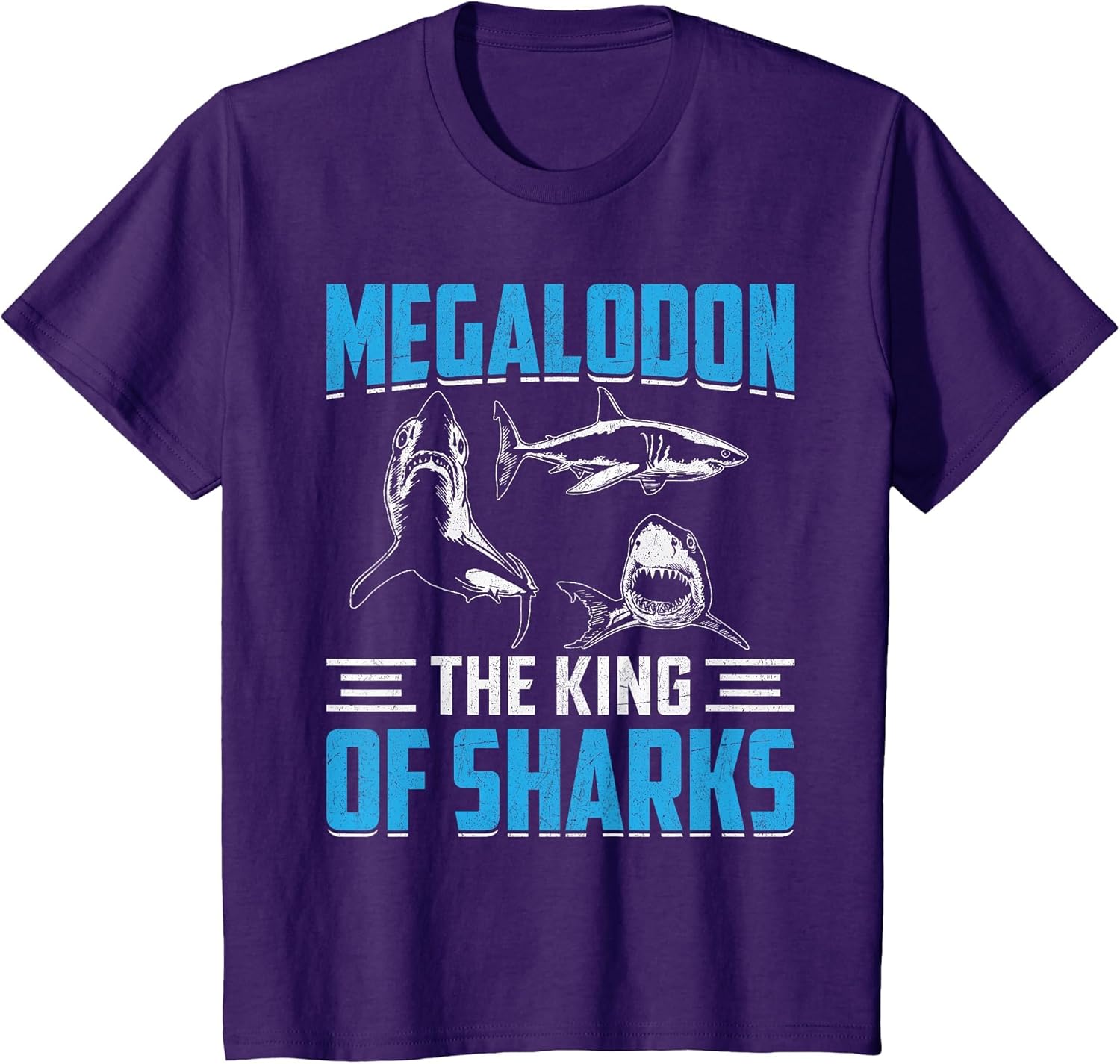 Megalodon The King of Sharks I Megalodon