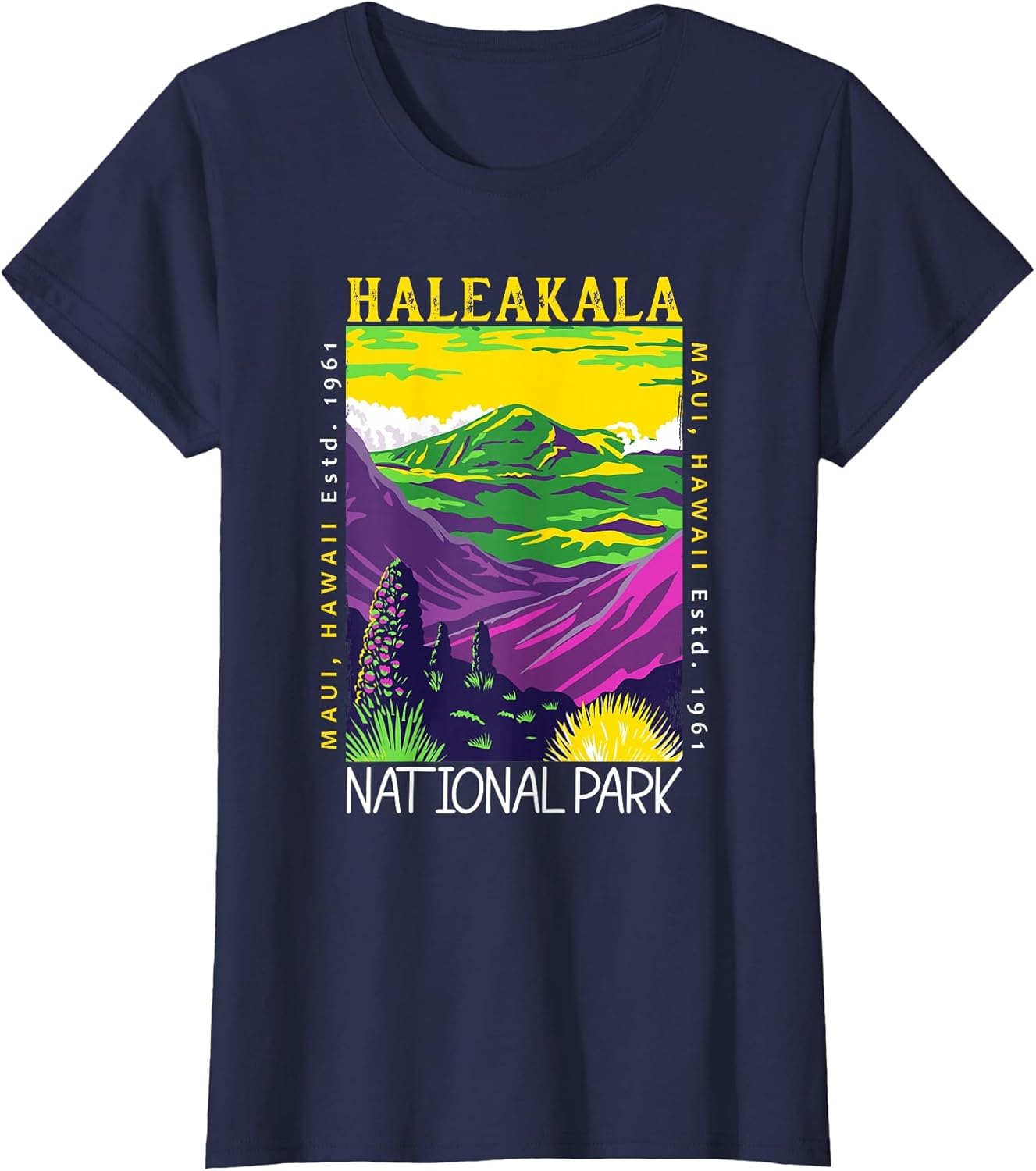 Haleakala National Park Hawaii Maui Vintage