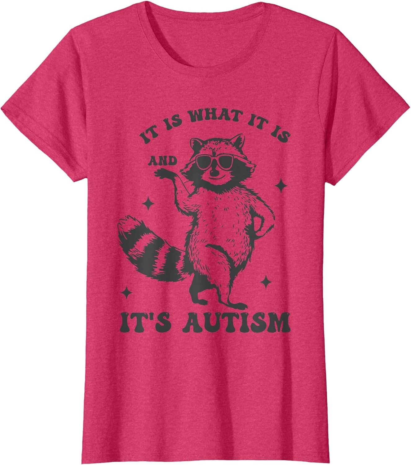 It is What It is and It's Autism Funny Meme Autism Awareness