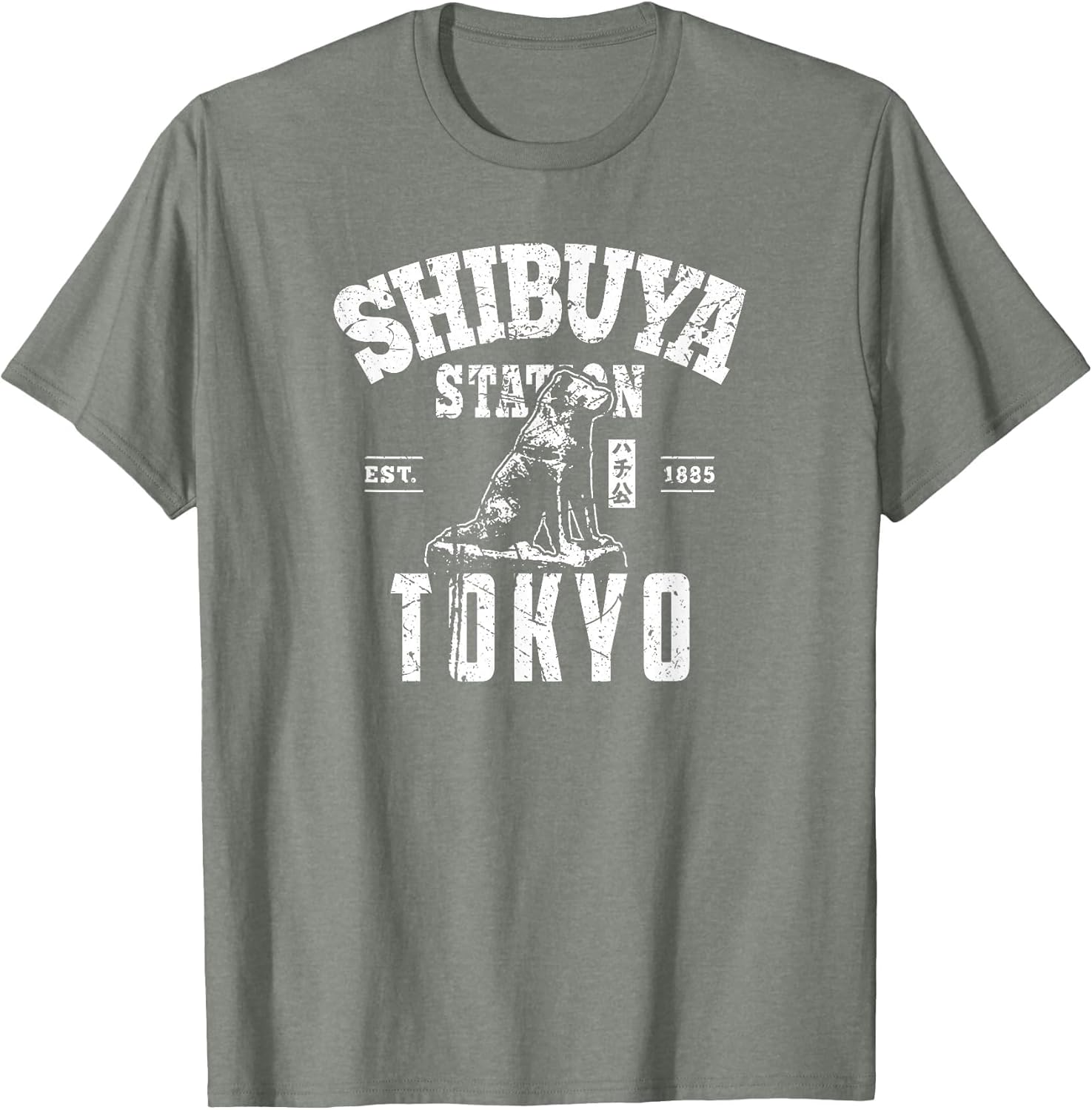 Shibuya Train Station Hachiko Akita Inu Japanese Kanji Japan