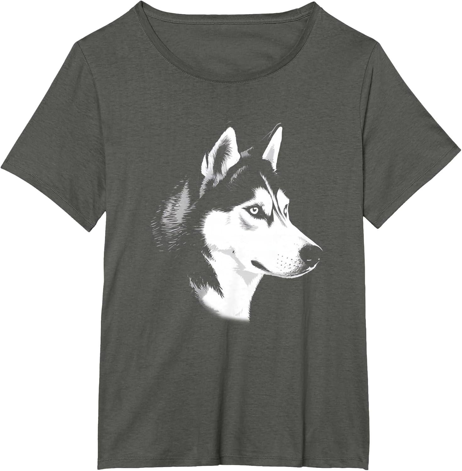 Husky Dog