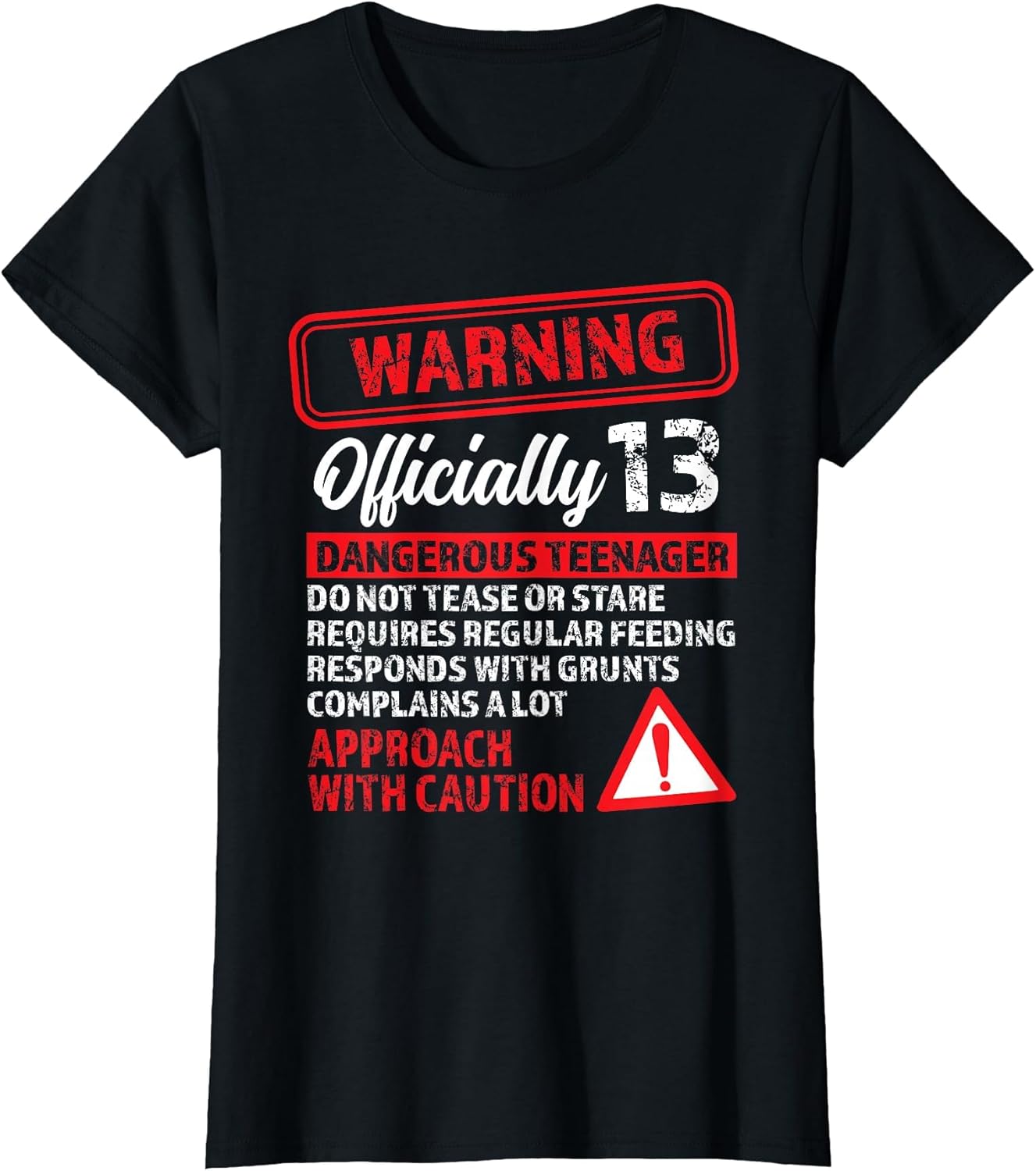 13th Birthday Gifts Warning Dangerous Teenager 13 Yr Old