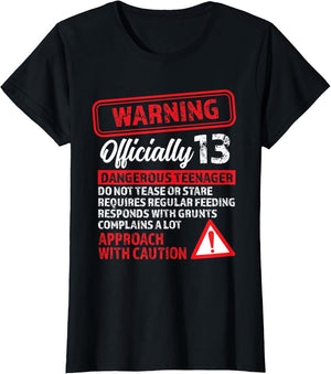 13th Birthday Gifts Warning Dangerous Teenager 13 Yr Old