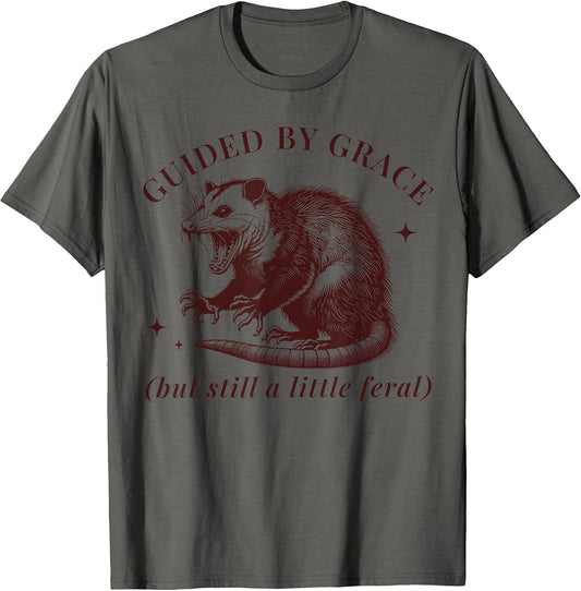 Guided by Grace Funny Possum Christian Feral Bible Saying