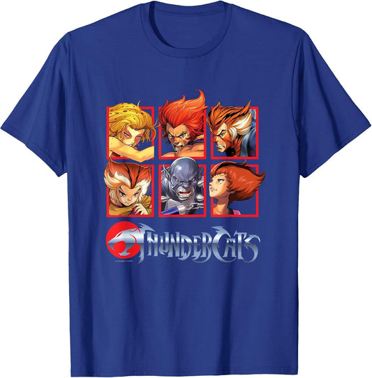Thundercats Bring The Thunder Vintage Box Up