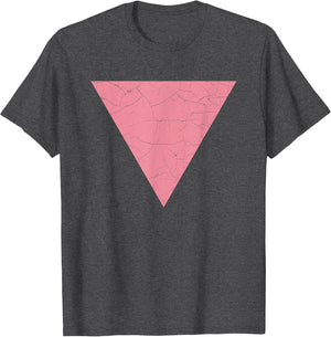 Vintage Gay Pride Pink Triangle/Vintage LGBT Flag