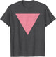 Vintage Gay Pride Pink Triangle/Vintage LGBT Flag
