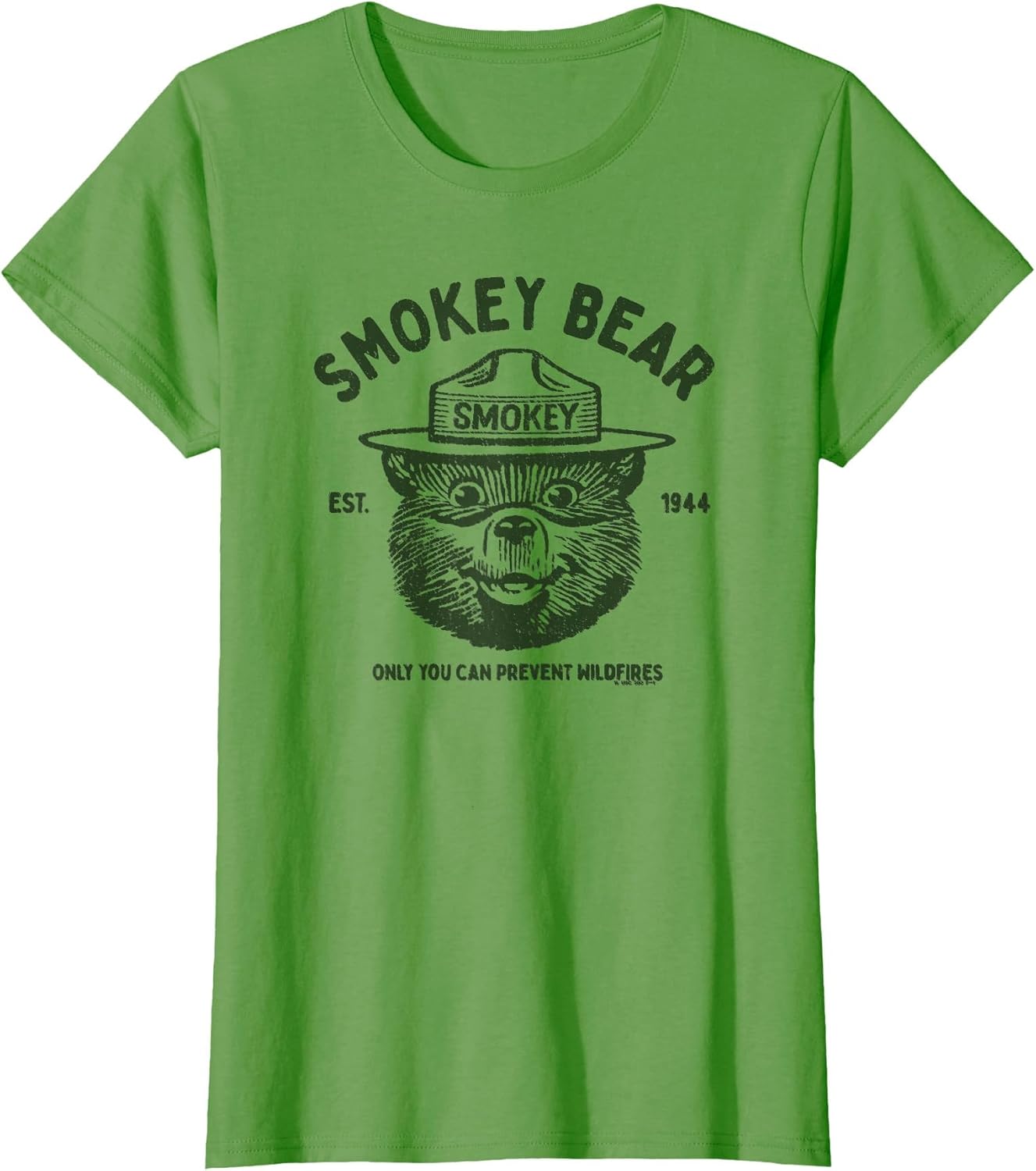 Vintage Smokey Bear Logo Only You Can Prevent Wildfires