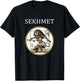 Sachmet Ancient Egyptian Goddess of War and Healing
