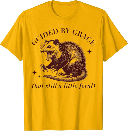 Guided by Grace Funny Possum Christian Feral Bible Saying