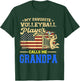 My Favorite Volleyball Player Calls Me Grandpa US Flag