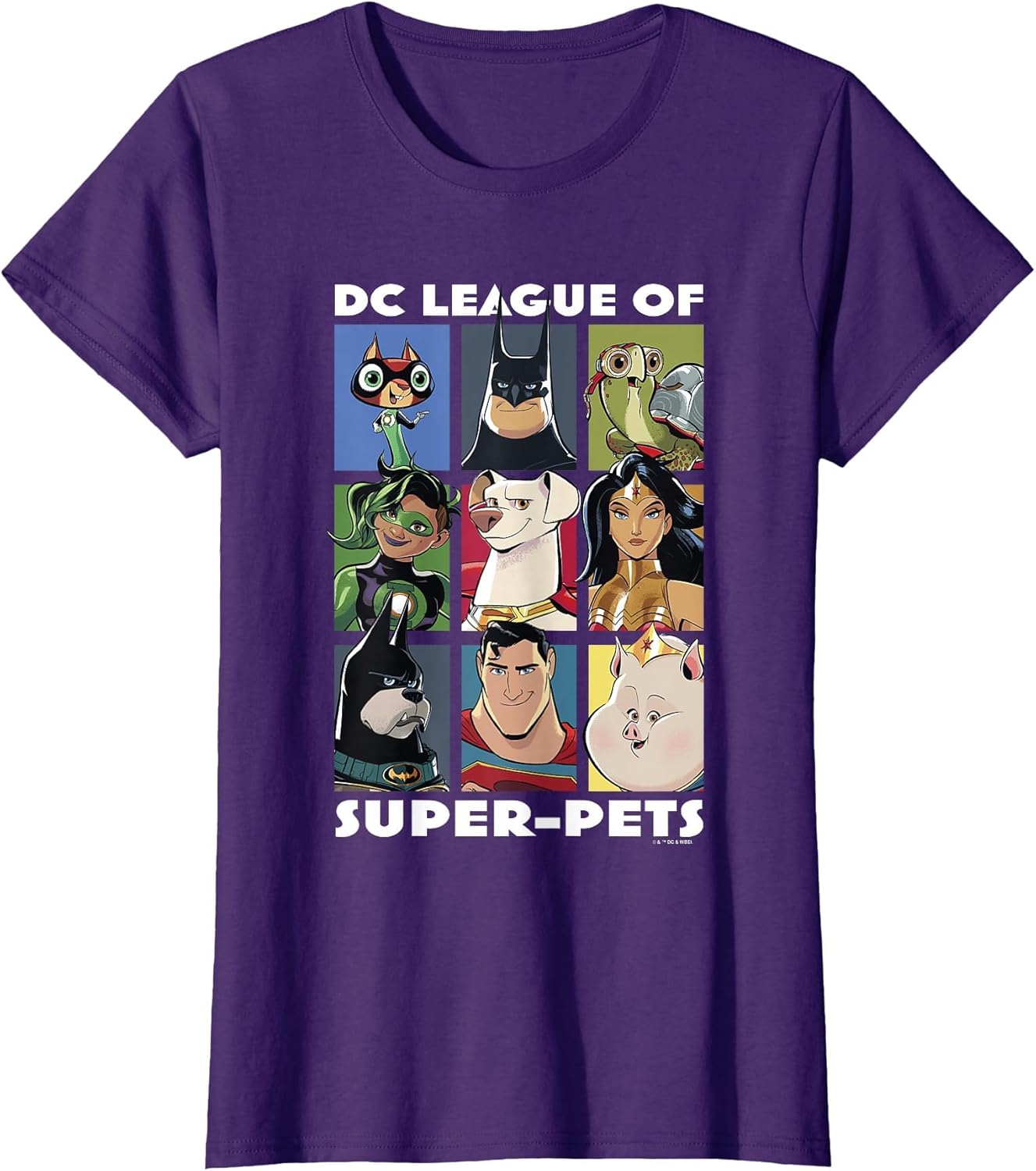 DC League of Super-Pets Heroes & Pets Grid Group Shot