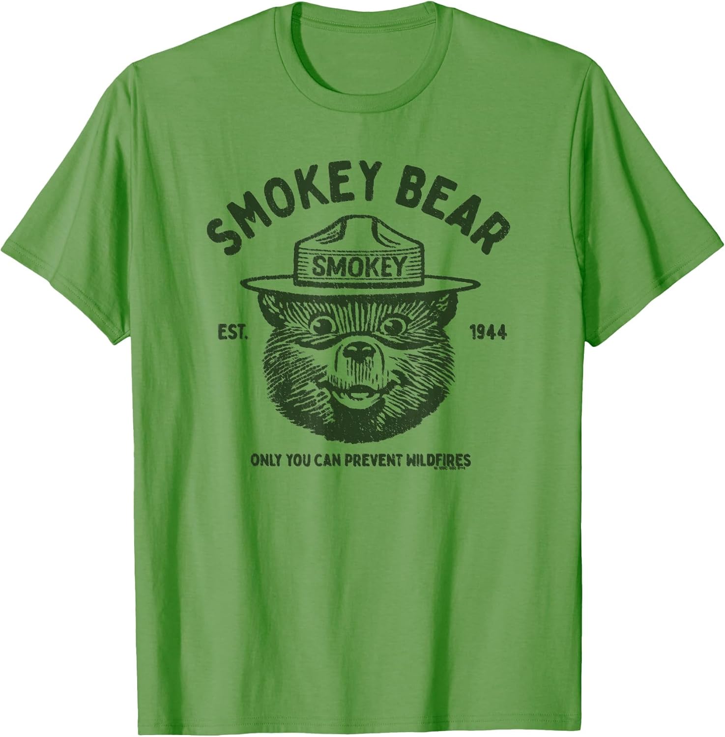 Vintage Smokey Bear Logo Only You Can Prevent Wildfires