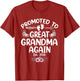 Promoted to Great Grandma Again 2026 Pregnancy Announcement