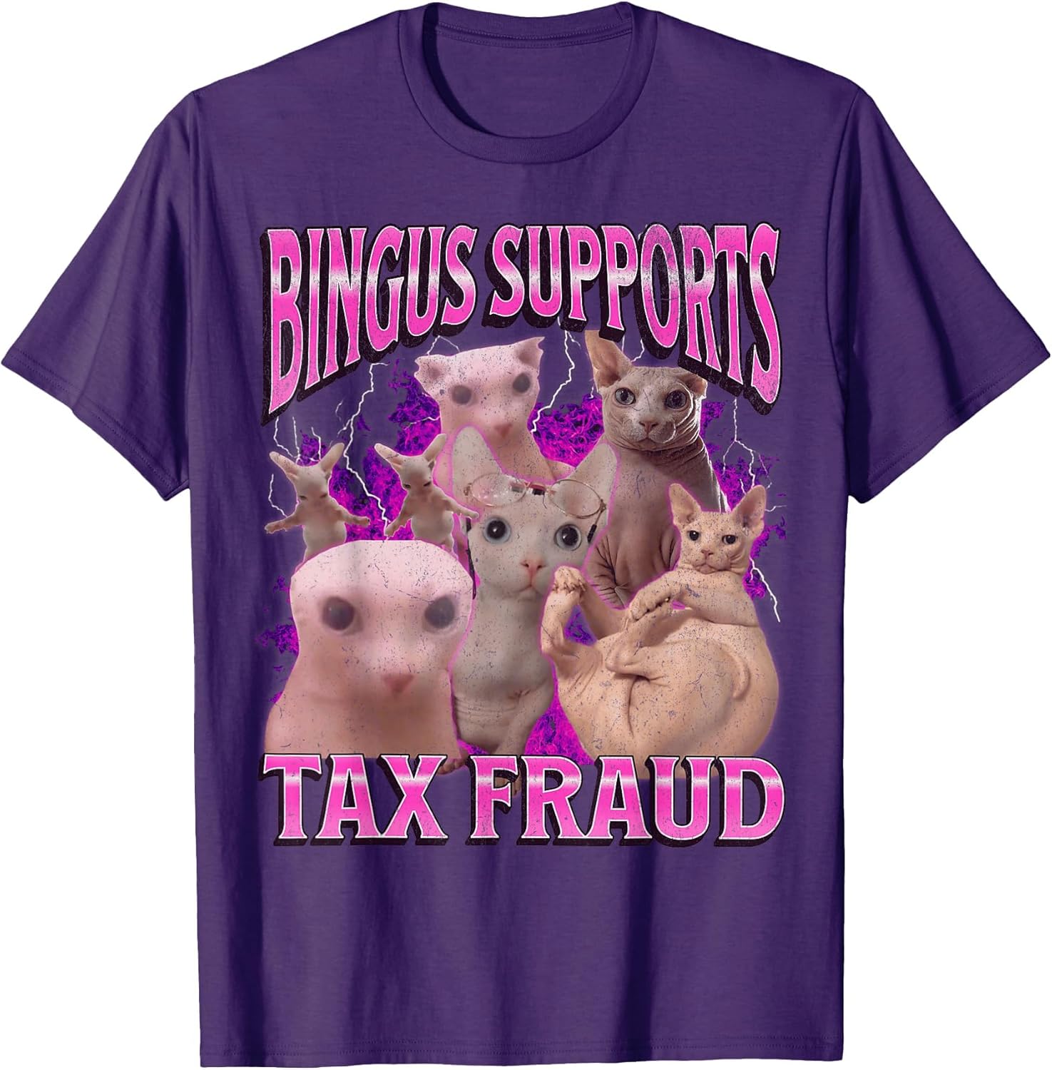 Bingus My Beloved Funny Sphinx Cat Meme Bootleg Graphic