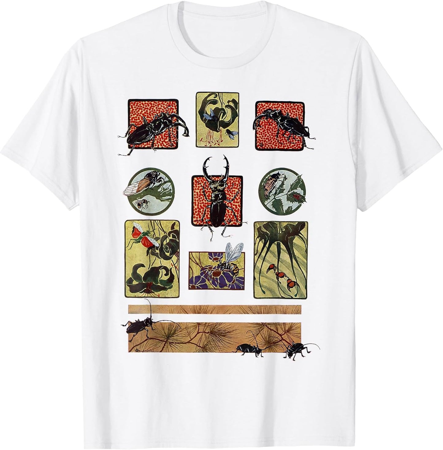 Insects Species Bugs Art Vintage Entomology Entomologist