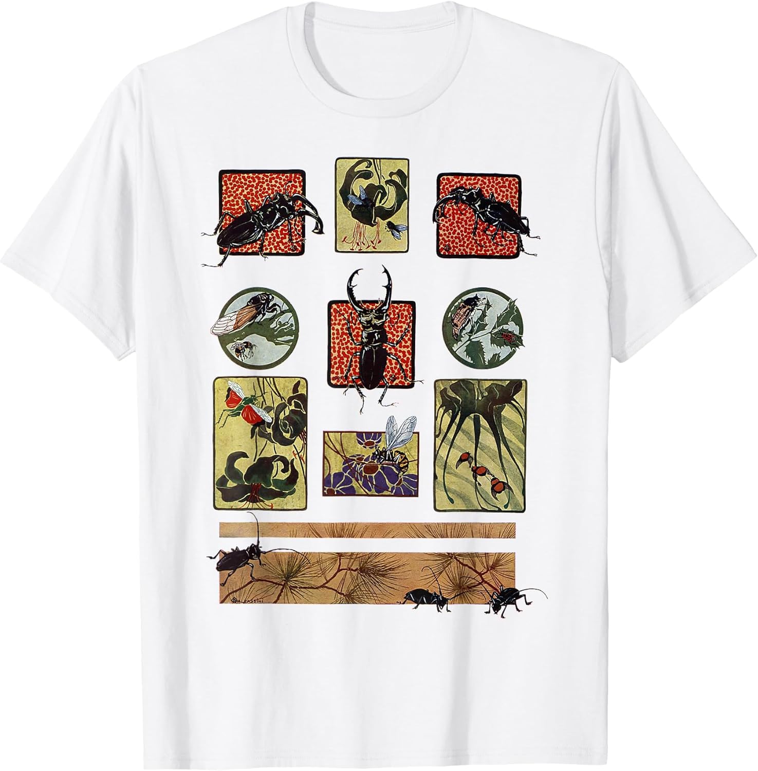 Insects Species Bugs Art Vintage Entomology Entomologist