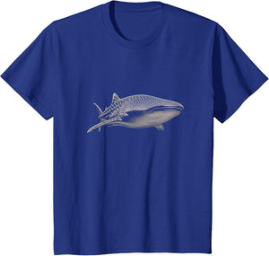 Whale Shark Drawing Graphic Design