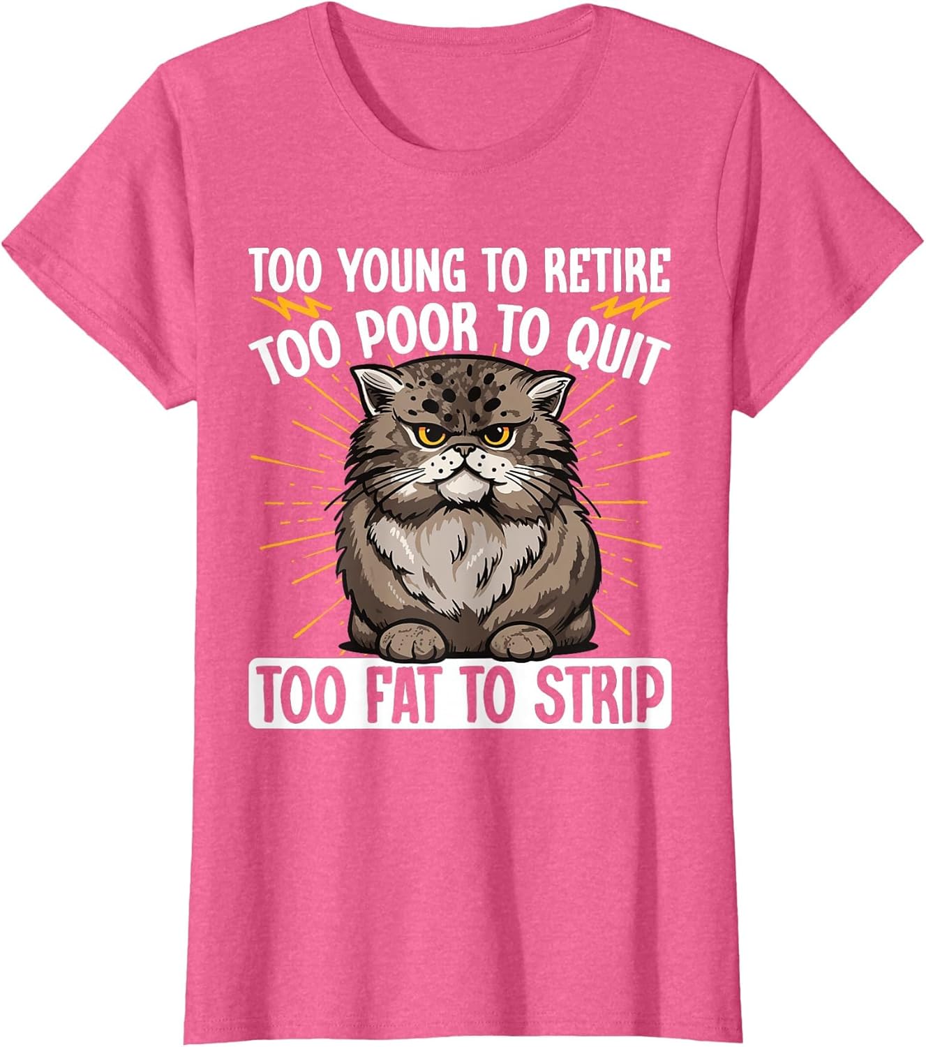Too Young to Retire Too Poor to Quit Too Fat to Strip