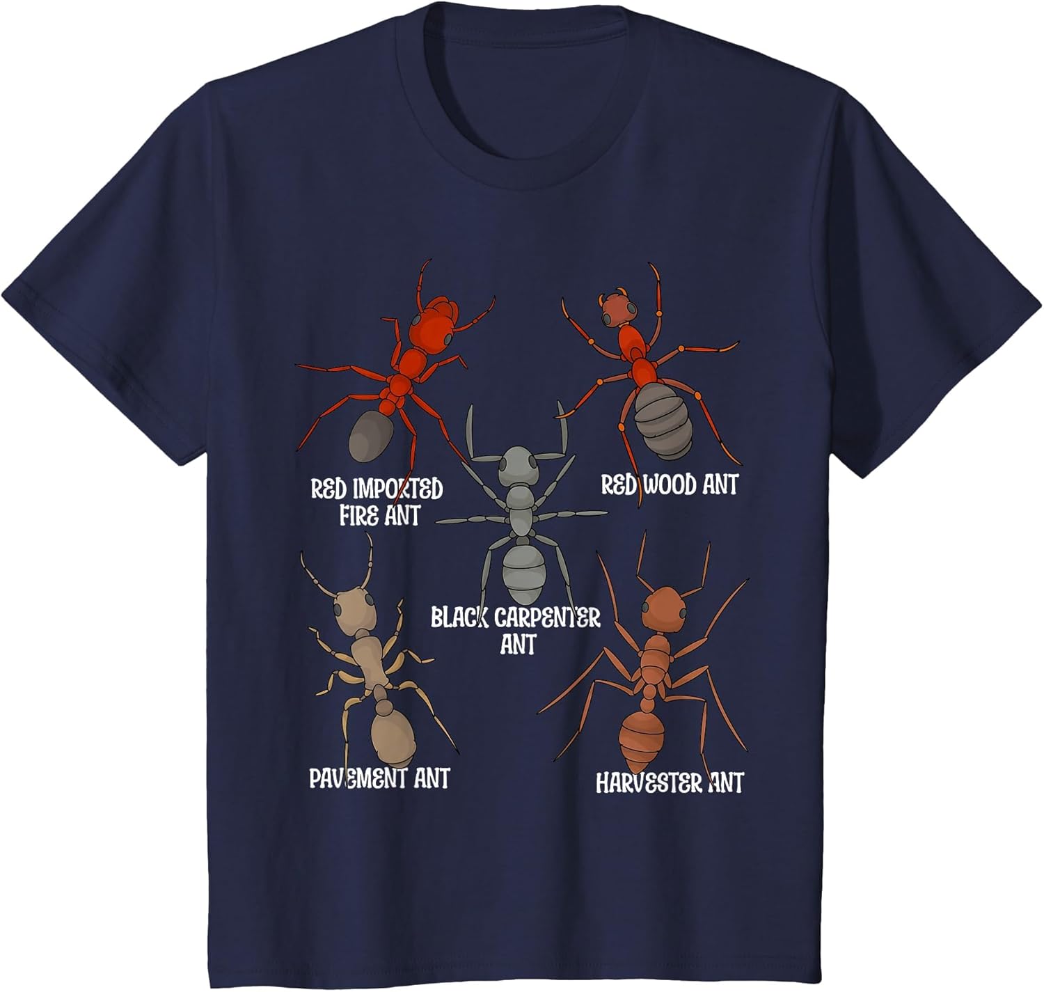 Ant Lover Kids Entomology Ant Species Red Ants