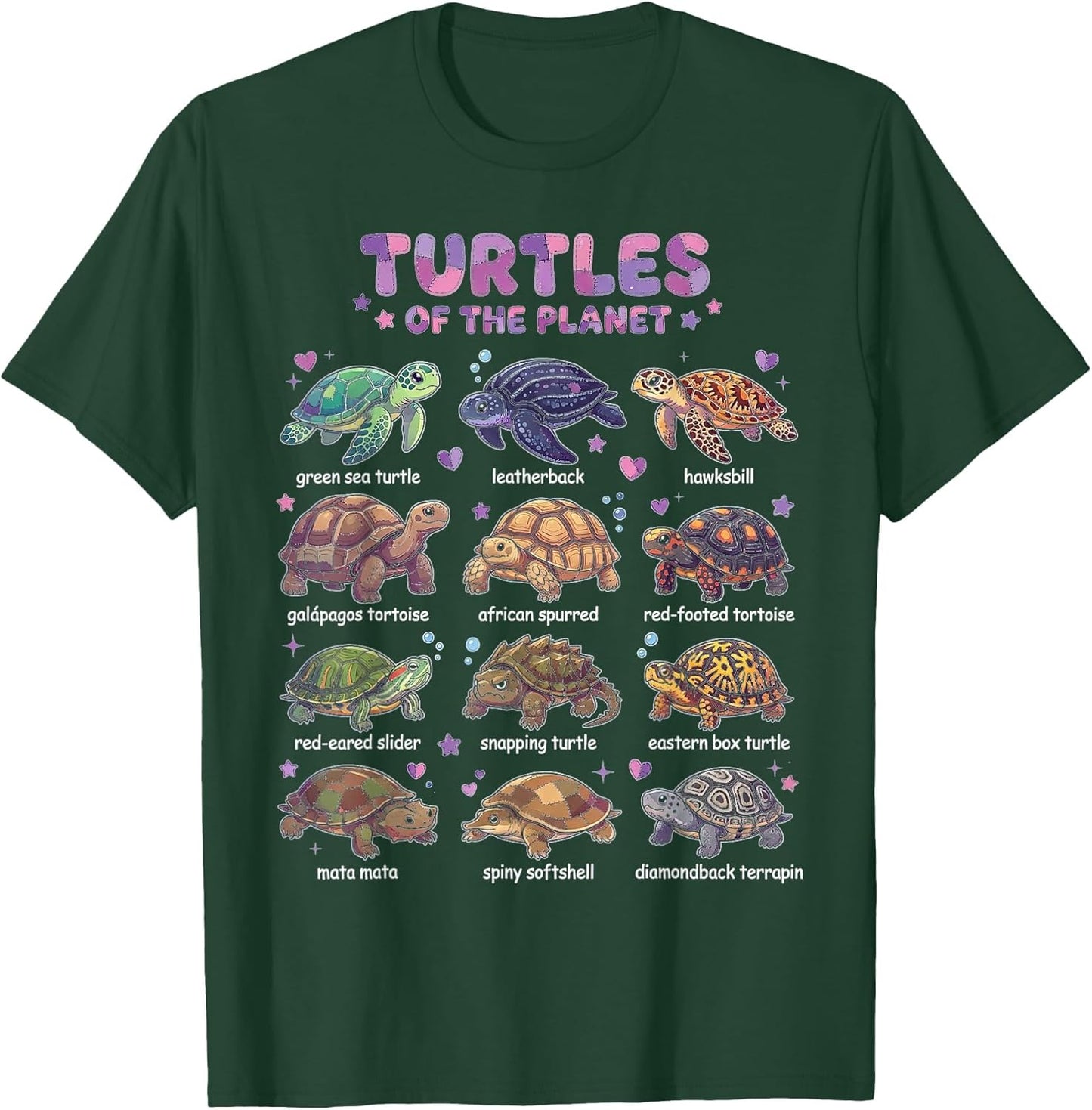 Discover Turtles of The World Educational Illustrated