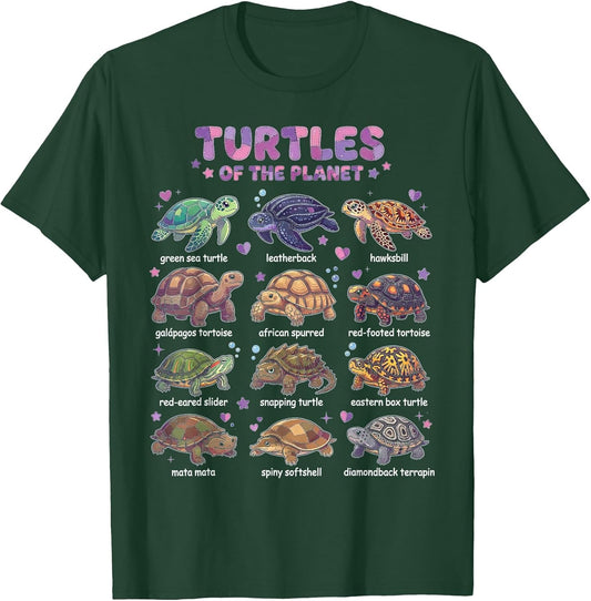 Discover Turtles of The World Educational Illustrated