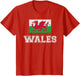 Wales Flag Vintage I Men Women Kids