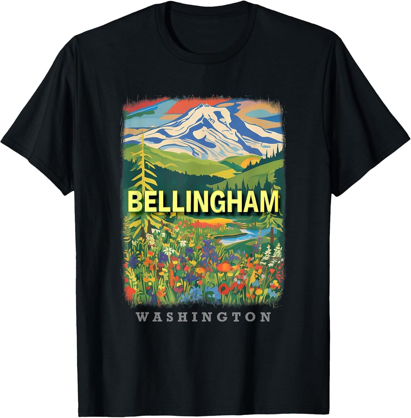 Bellingham Washington WA Mount Baker Majesty SD217