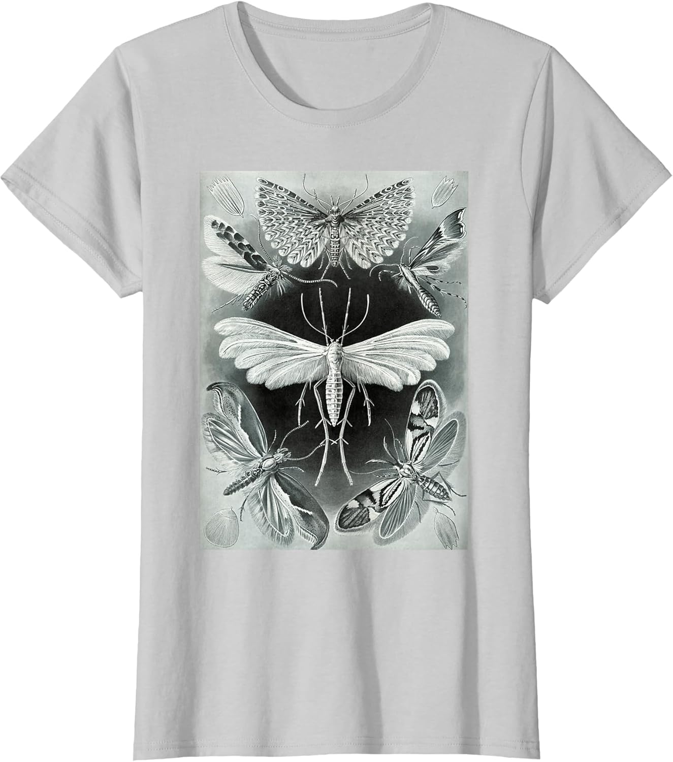 Moth Vintage Mystical Goth Insect Aesthetic Illustration
