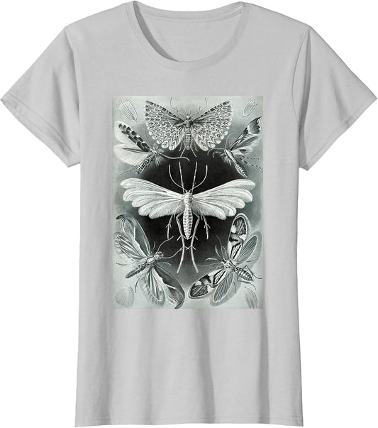 Moth Vintage Mystical Goth Insect Aesthetic Illustration