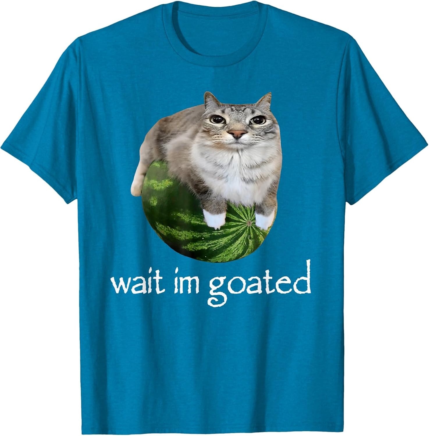 Wait I'm Goated Cat Meme Funny Watermelon Silly Cat Humor