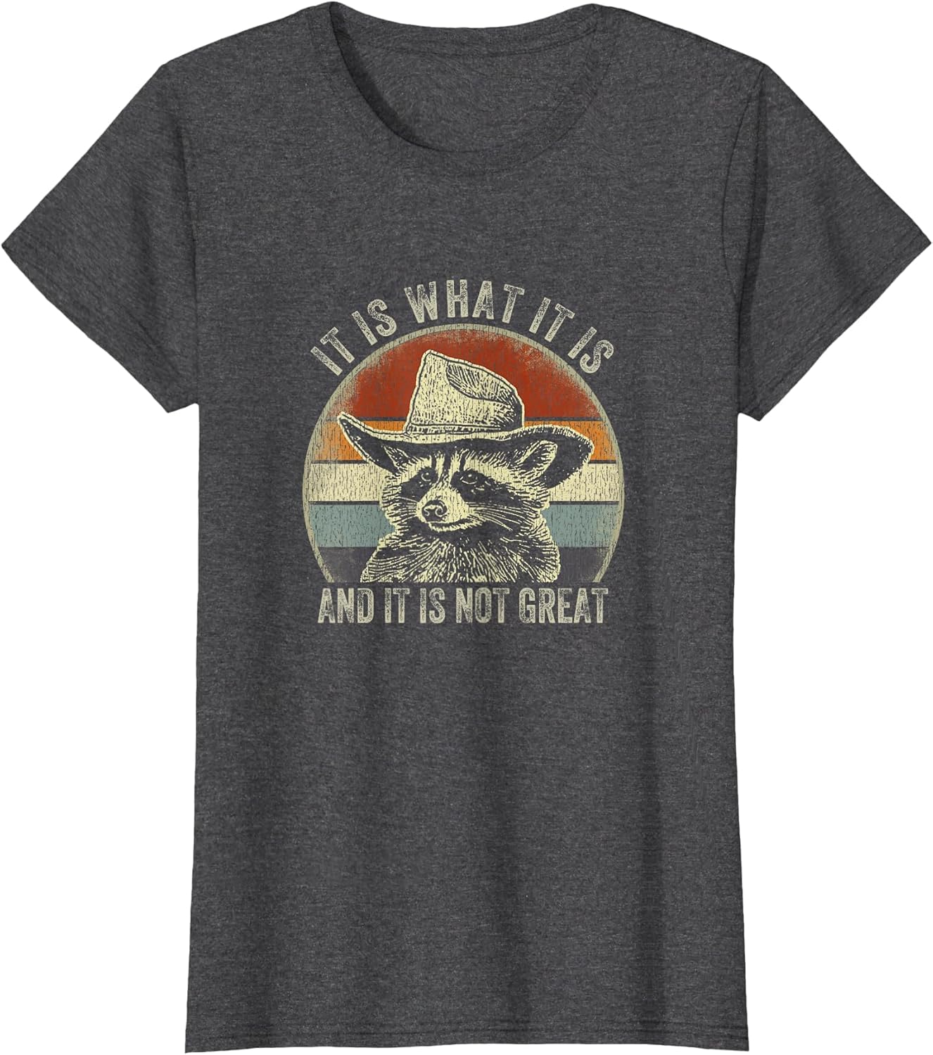 It is What It is and It is Not Great Raccoon Trash Panda