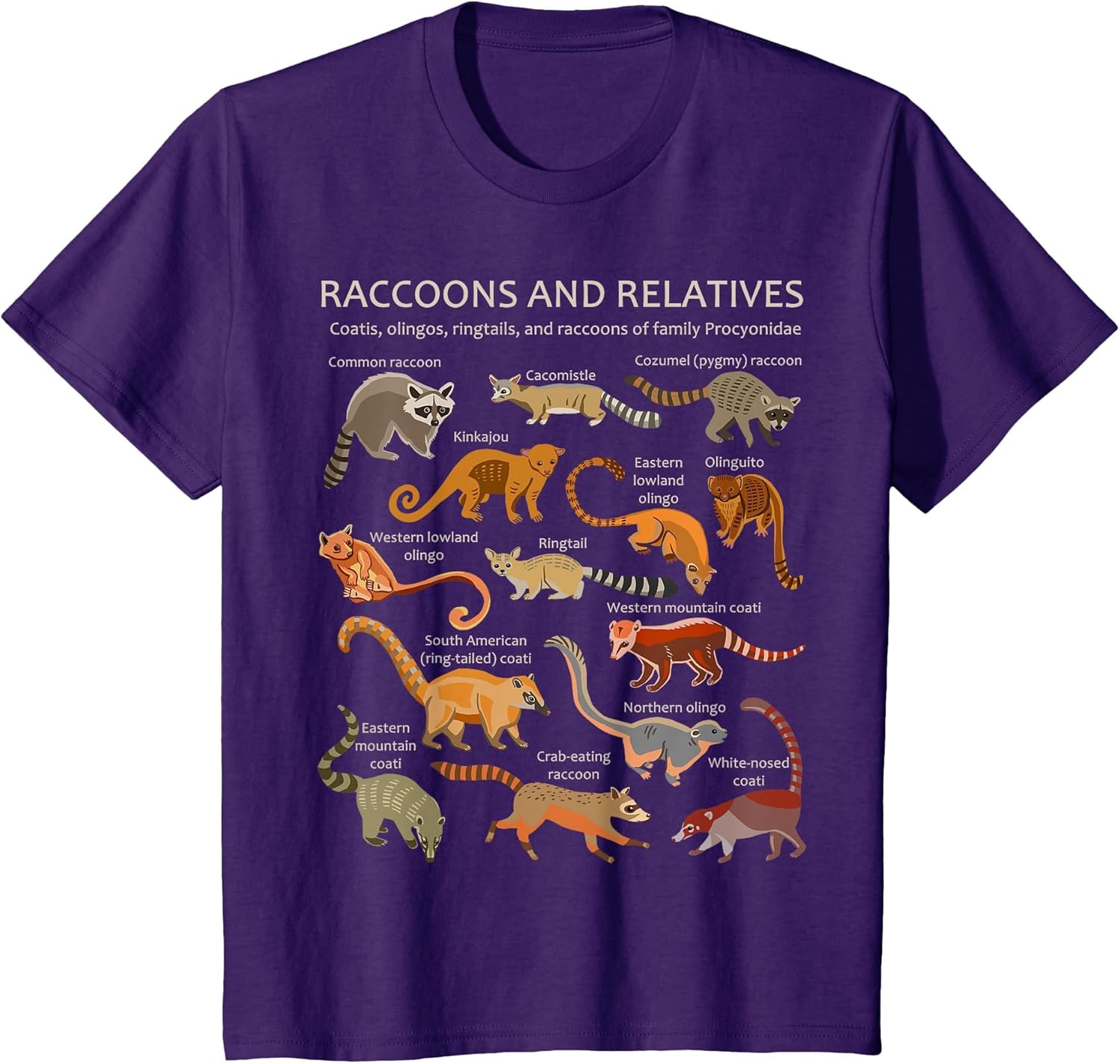 Raccoons and Relatives: Coati, Ringtail, Kinkajou, and More