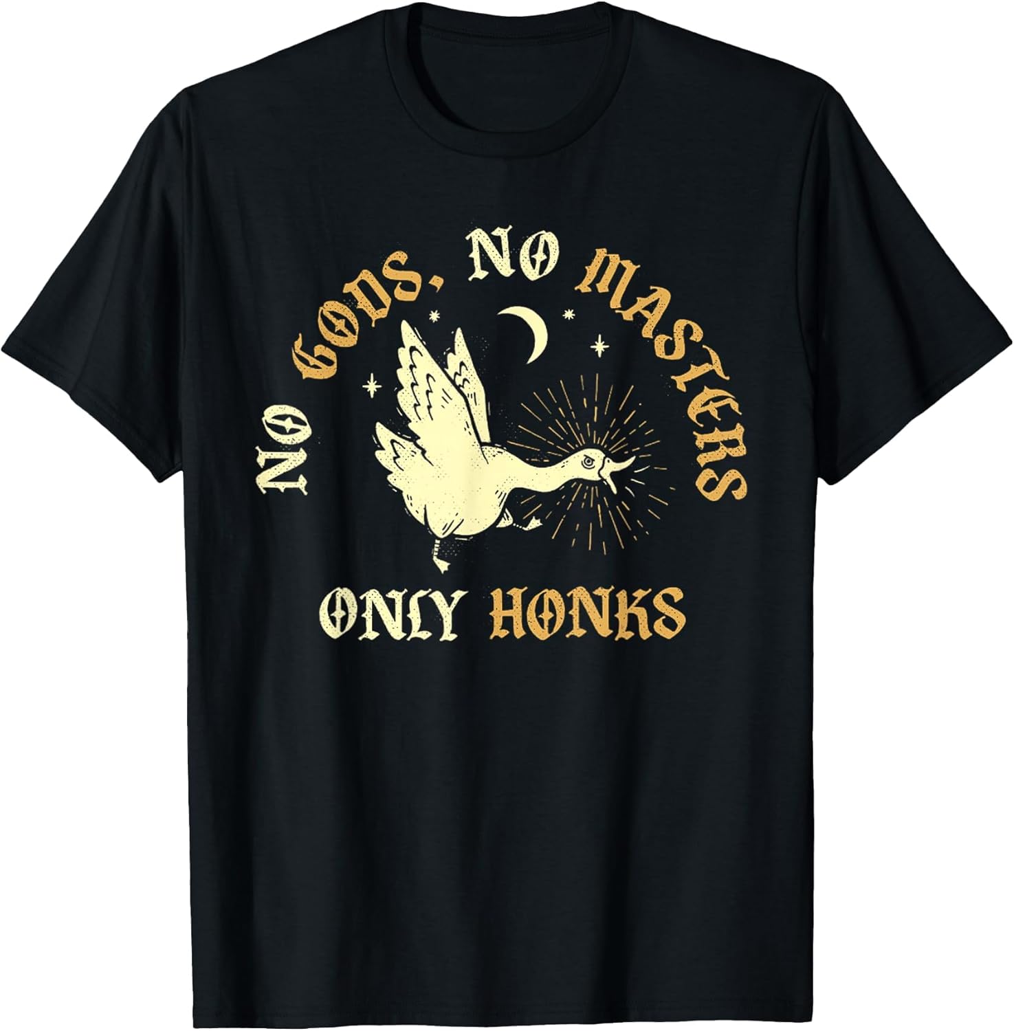 No Gods No Masters Only Honks Funny Goose Duck Vintage Art