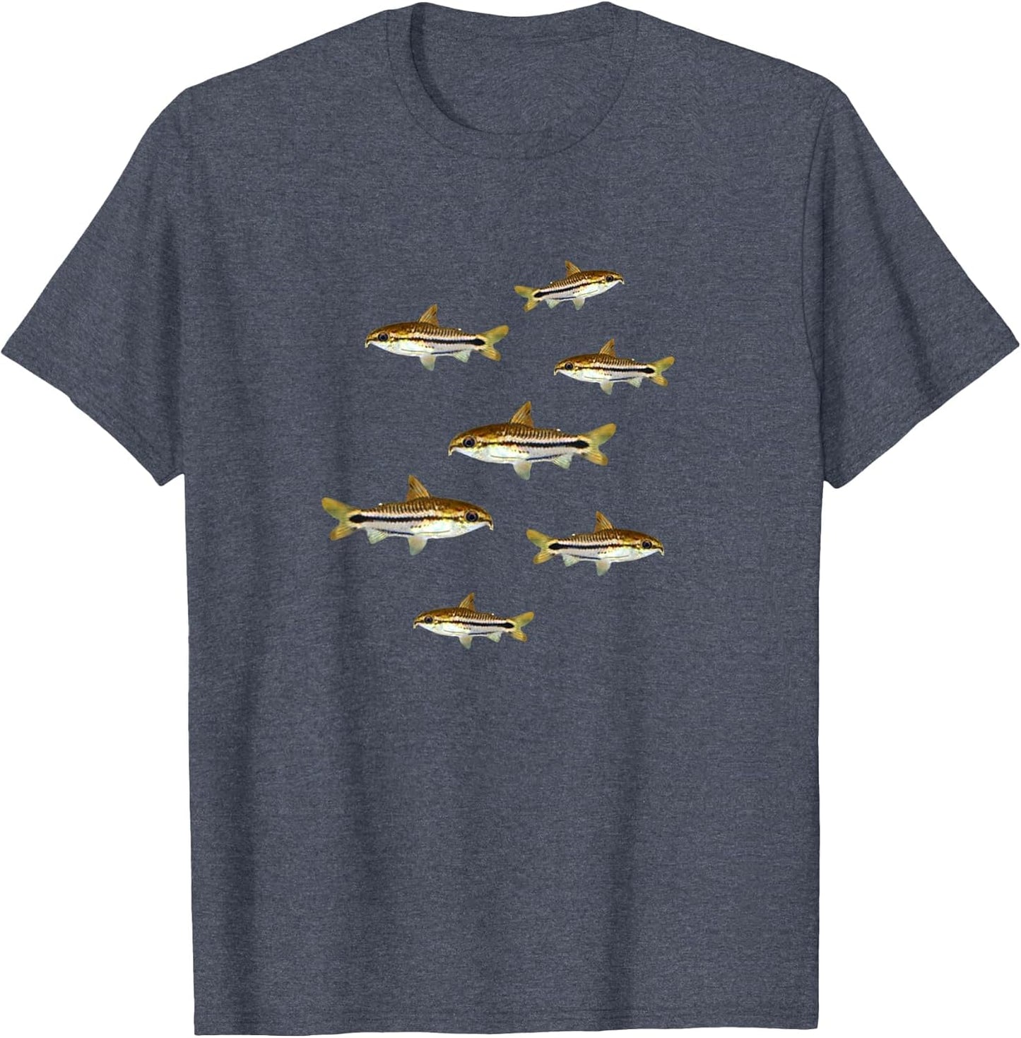 Corydoras Catfish Lovers Pygmy Corydoras Aquarium Fish