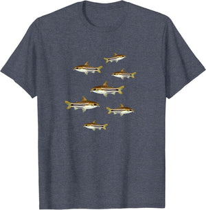 Corydoras Catfish Lovers Pygmy Corydoras Aquarium Fish