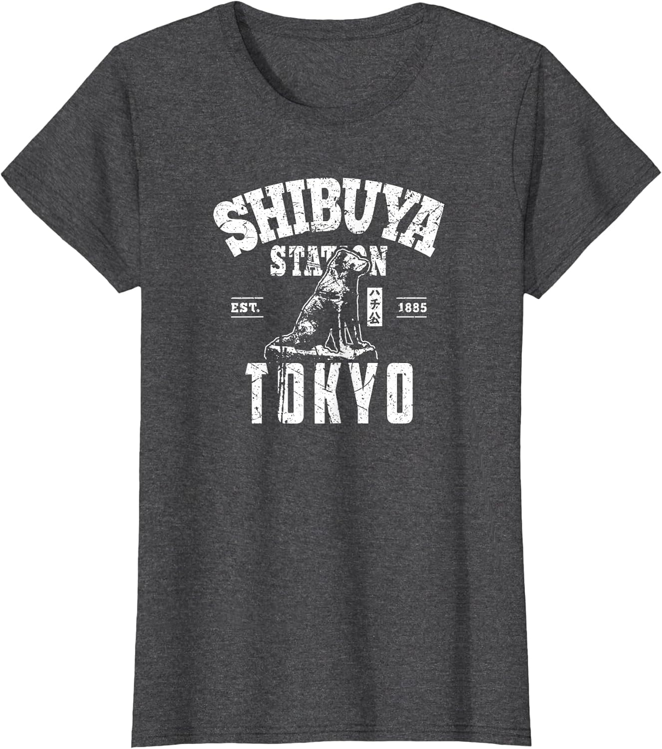 Shibuya Train Station Hachiko Akita Inu Japanese Kanji Japan