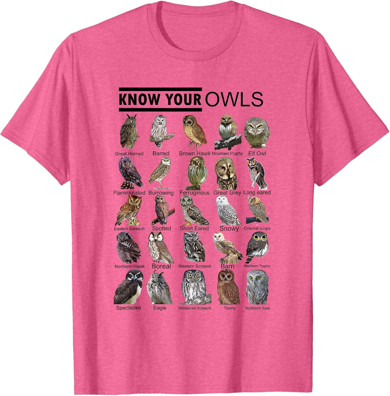 Know Your Owls All Type of Owl Spirit Animal for Owl Lovers