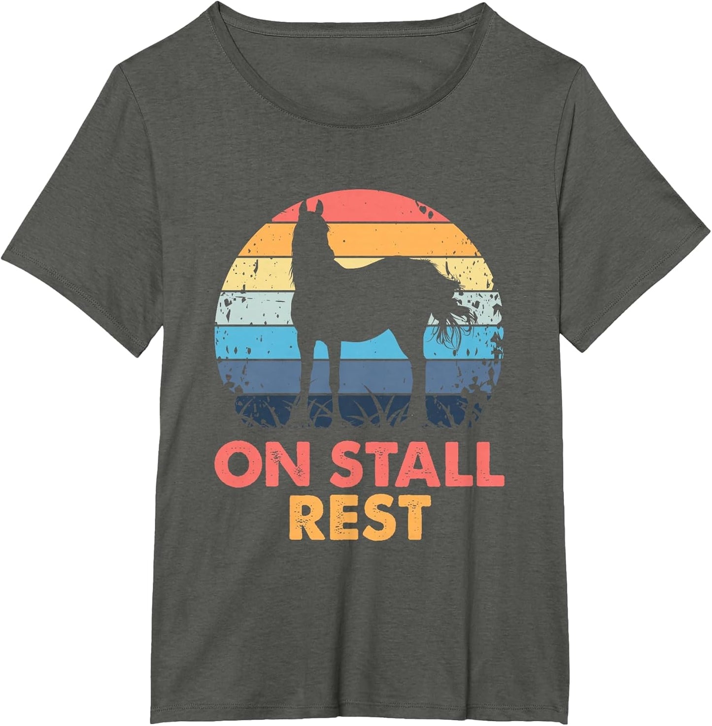 Equestrian Horse Riding Horse Lover Funny On Stall Rest