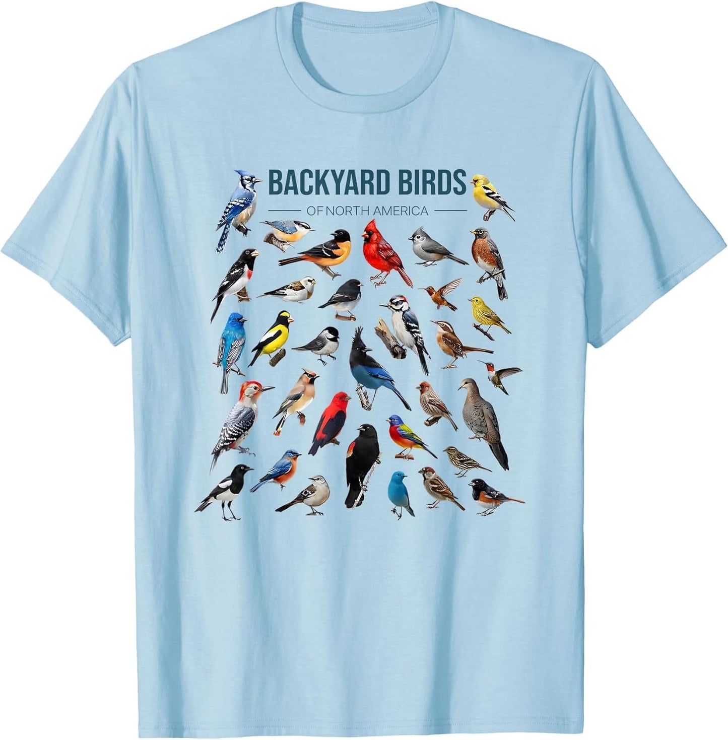 Backyard Birds of North America