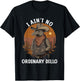 Armadillo Cowboy Oridnary Dillo Texas Armadillo