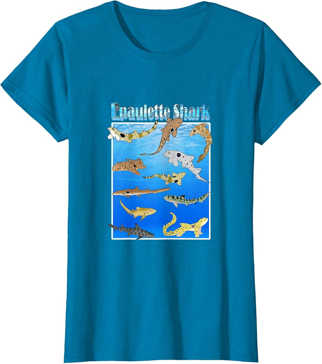 Epaulette Shark