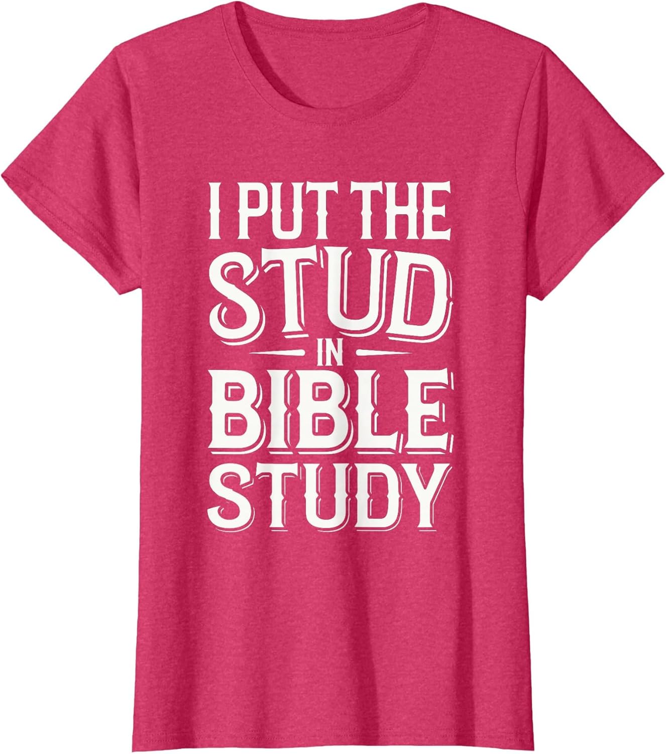 I Put The Stud in Bible Study Church Activities