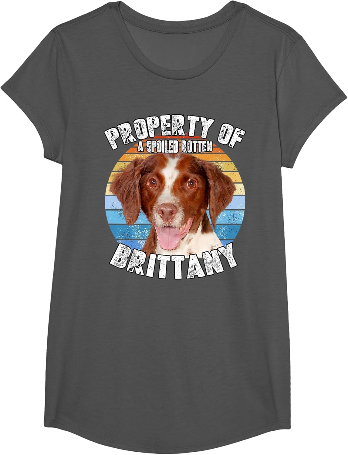 Brittany Spaniel Property of