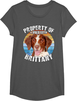Brittany Spaniel Property of